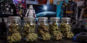 Innowacje w swiecie cannabis