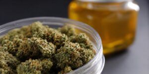 Jak działa thc